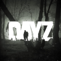 DayZ