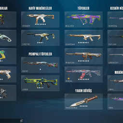 CURRENT IMMORTAL 1|STACKED WITH SKINS|TR ACC 0