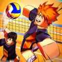 Volleyball Legends