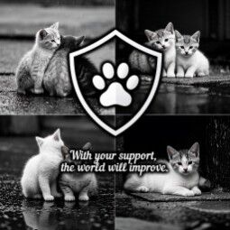 All tips are being used for the animals 💕...
Thank you for your help 🙏 2