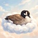 GooseInTheClouds