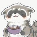 Raccooned