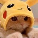 KingPlaysThis