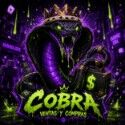 COBRA_STORE77