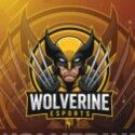 WOLVERINE_22