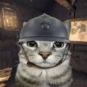 MisterCattt