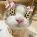 Zoeyl0vesrobux