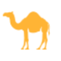 CamelGP