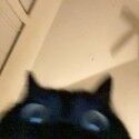 hehe2424