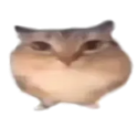 Bubbaclatt